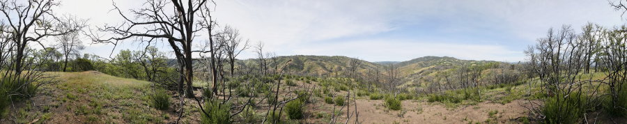 View From Bollinger Ridge 