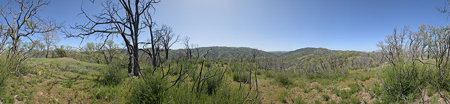 View From Bollinger Ridge