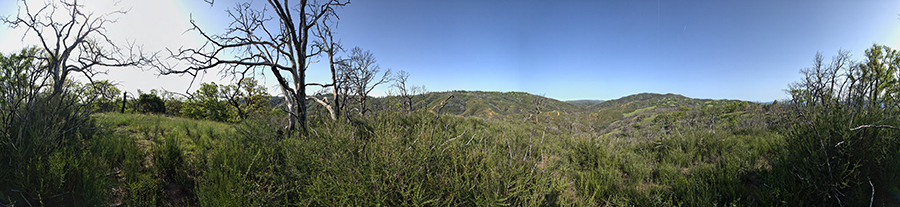 View From Bollinger Ridge