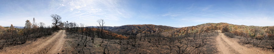 View From Bollinger Ridge 