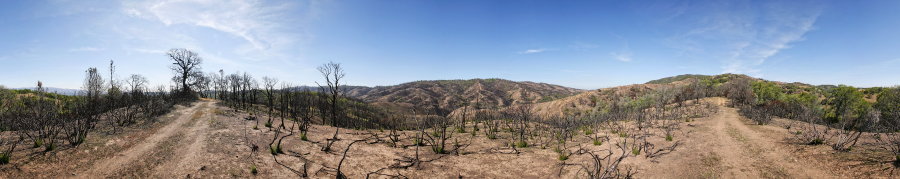 View From Bollinger Ridge 