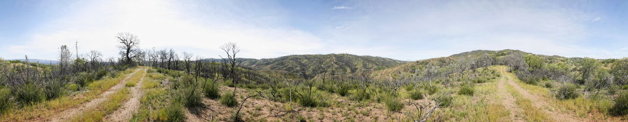 View From Bollinger Ridge 