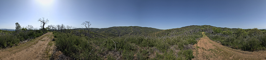 View From Bollinger Ridge
