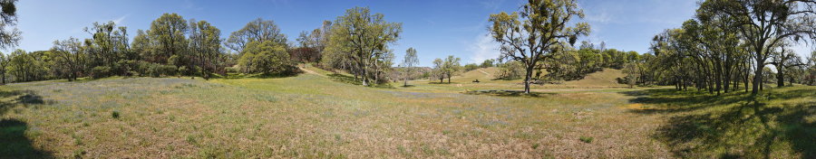The Middle Fork Of The Coyote - Thomas Addition 