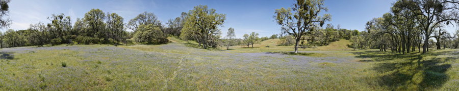 The Middle Fork Of The Coyote - Thomas Addition 