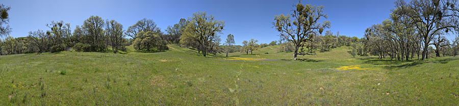 The Middle Fork Of The Coyote - Thomas Addition