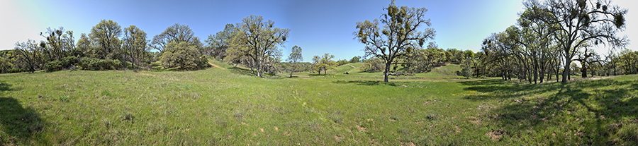 The Middle Fork Of The Coyote - Thomas Addition