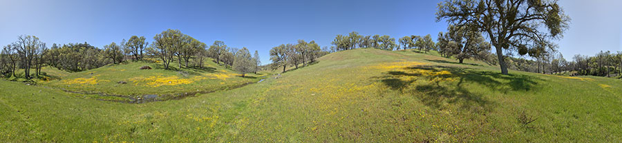 The Middle Fork Of The Coyote - Thomas Addition