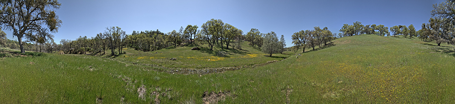 The Middle Fork Of The Coyote - Thomas Addition