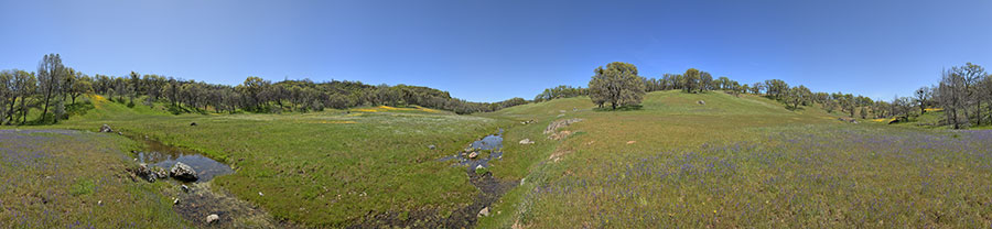 The Middle Fork Of The Coyote - Thomas Addition