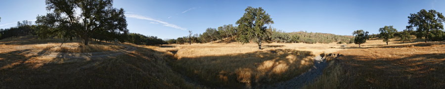 Upstream From Orestimba Corral