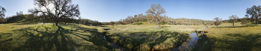 Upstream From Orestimba Corral