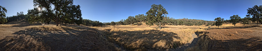 Upstream From Orestimba Corral