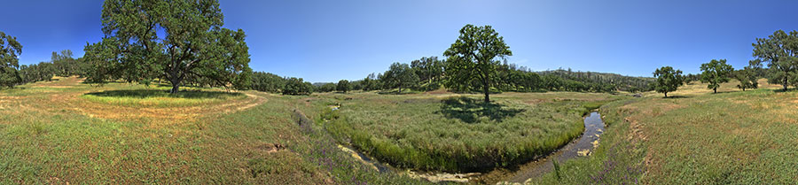 Upstream From Orestimba Corral