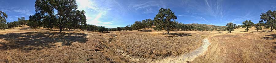 Upstream From Orestimba Corral