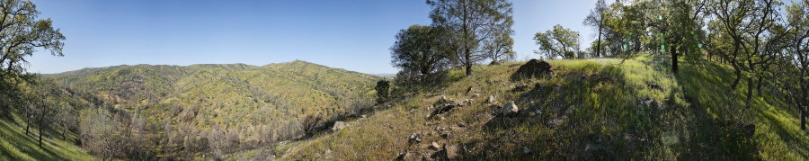 Orestimba Creek Trail