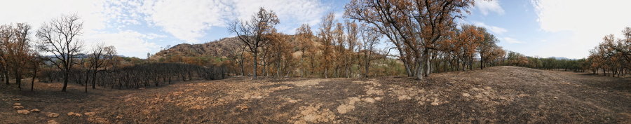 Between Paradise Flat And Red Creek