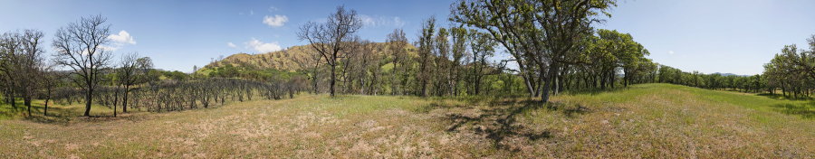 Between Paradise Flat And Red Creek