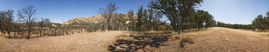 Between Paradise Flat And Red Creek