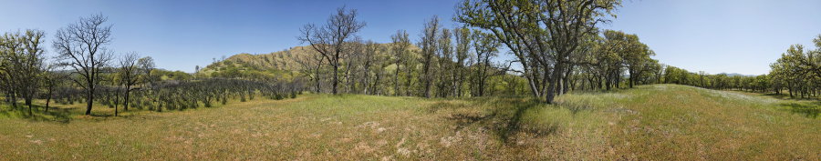 Between Paradise Flat And Red Creek