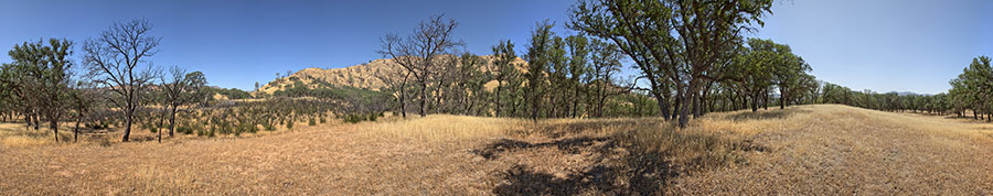 Between Paradise Flat And Red Creek
