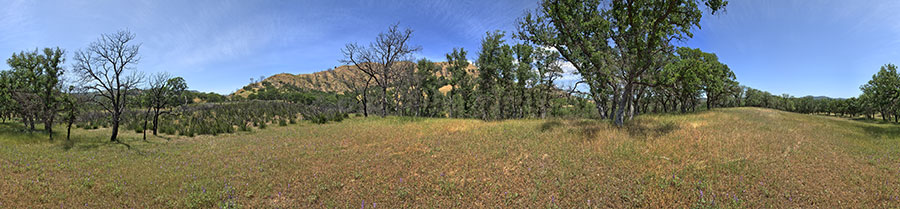 Between Paradise Flat And Red Creek