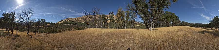 Between Paradise Flat And Red Creek