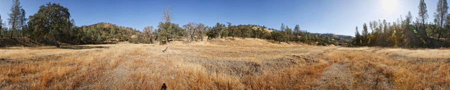 Red Creek Road At Chaparral Trail