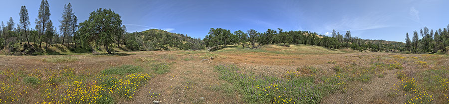 Red Creek Road At Chaparral Trail
