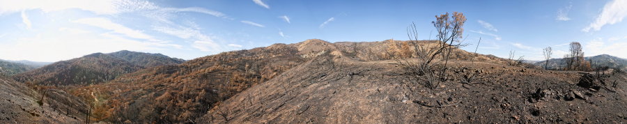 Along Ridge North Of Robison Creek