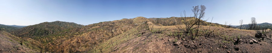 Along Ridge North Of Robison Creek