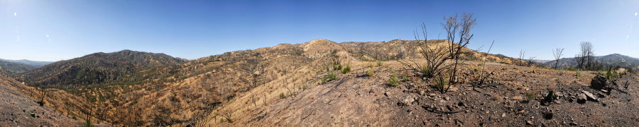 Along Ridge North Of Robison Creek