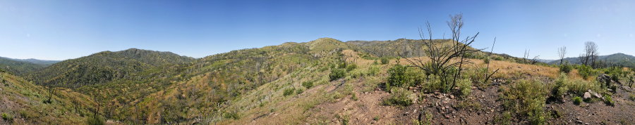 Along Ridge North Of Robison Creek