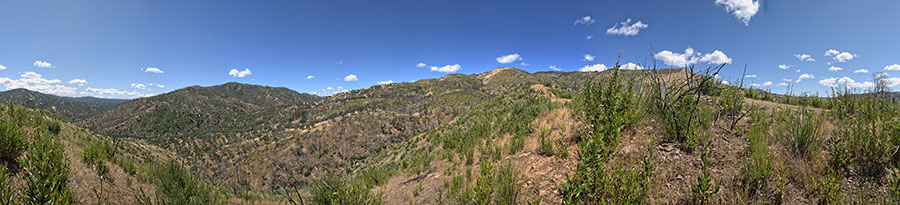Along Ridge North Of Robison Creek