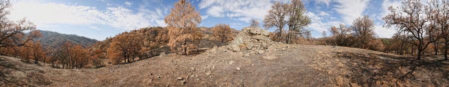 Along Ridge North Of Robison Creek