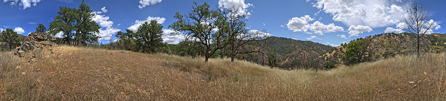 Along Ridge North Of Robison Creek