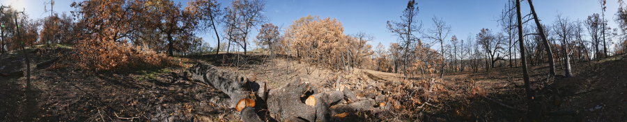 Near Center Flats Road