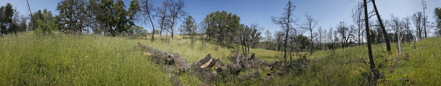 Near Center Flats Road