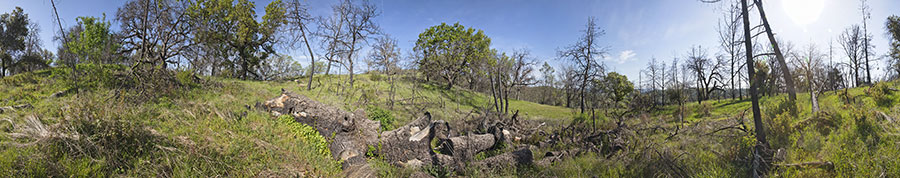 Near Center Flats Road