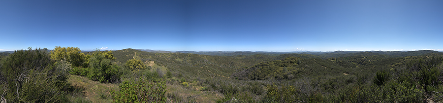 From a Knoll on Pacheco Ridge Road
