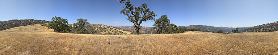 Blue Ridge Road at Poverty Flat Road