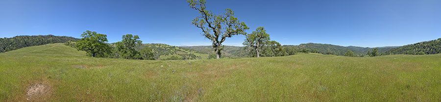 Blue Ridge Road at Poverty Flat Road