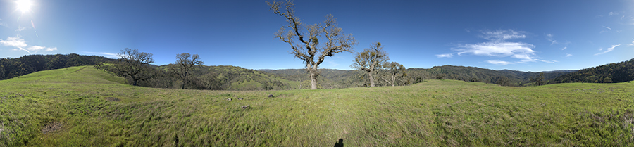 Blue Ridge Road at Poverty Flat Road