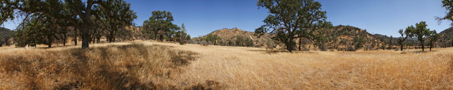 Along The East Fork Of The Coyote Creek 