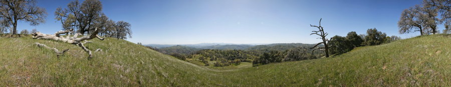 Near The Kelly Repeater