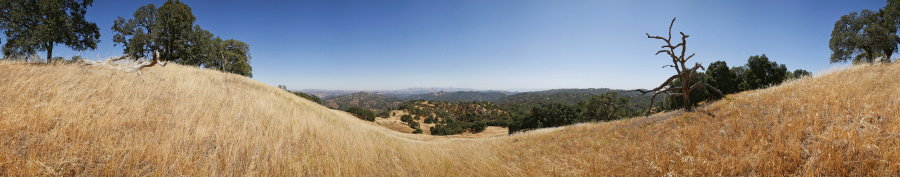 Near The Kelly Repeater