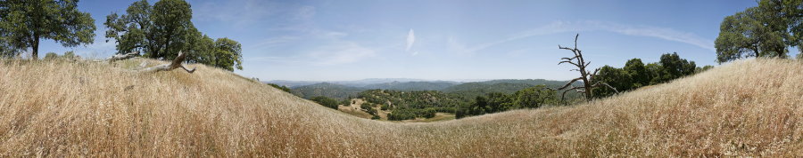 Near The Kelly Repeater