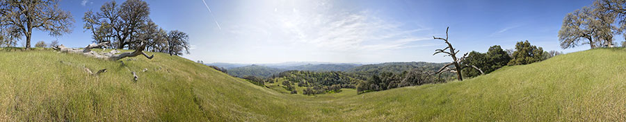 Near The Kelly Repeater