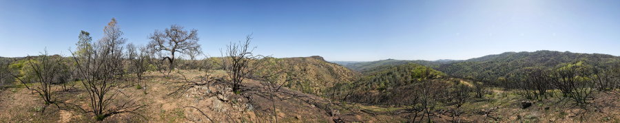 View From A Knoll On Pacheco Ridge Road