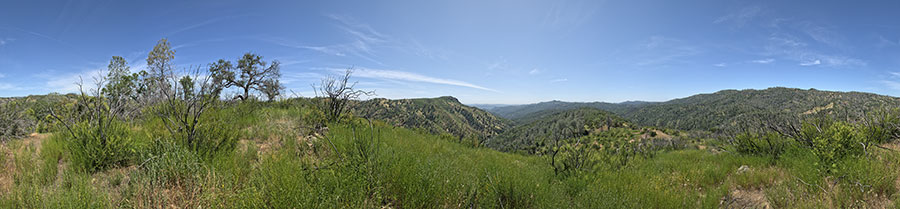 View From A Knoll On Pacheco Ridge Road